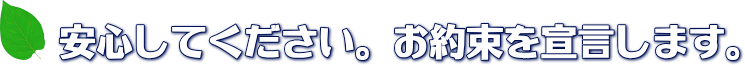 安心してください。お約束を宣言します。