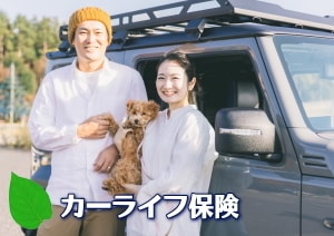 夫婦の写真