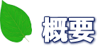 概要